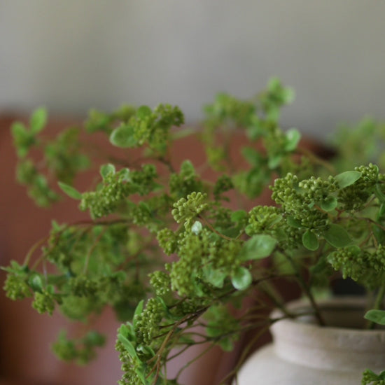 Artificial Greenery Sedum Clusters in Vase Video