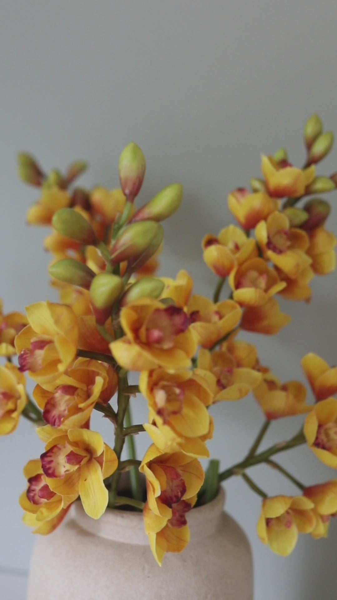 Yellow Flowers Fake Cymbidium Orchids