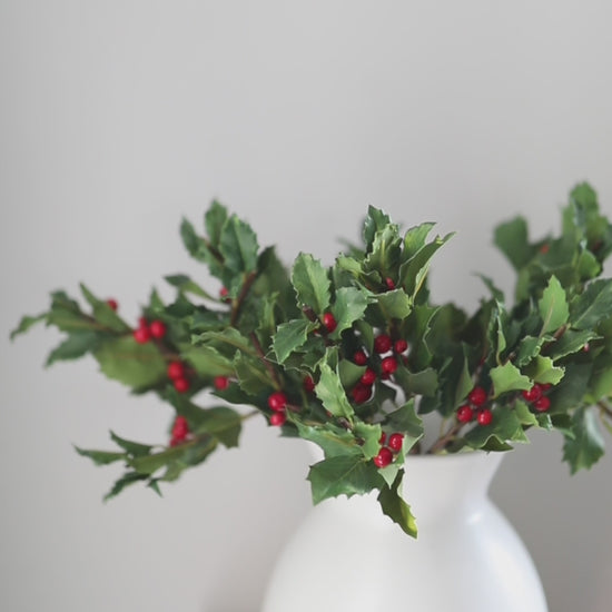 Holiday Arrangements Red Holly Berries with Green Leaves Video