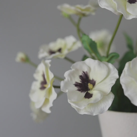 Cream and Purple Silk Pansies Product Video