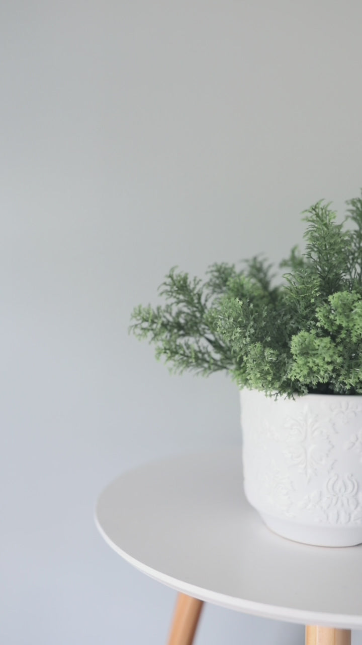 Faux UV Resistant Moss Bundle Details