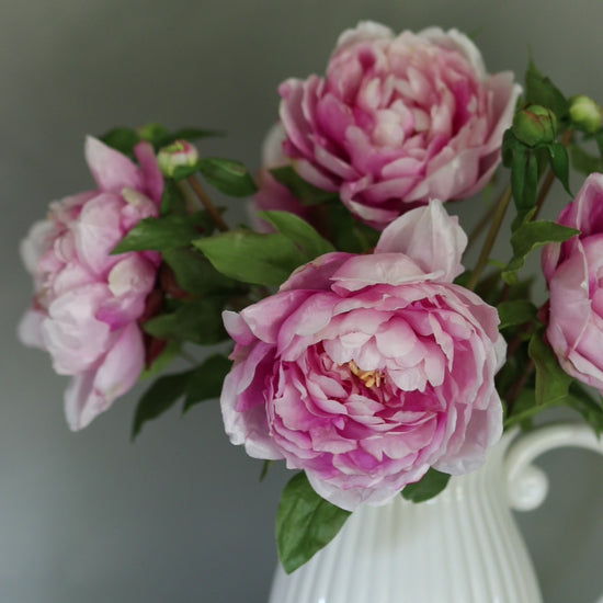 Video Showcasing Pink Peonies in White Pitcher Vase