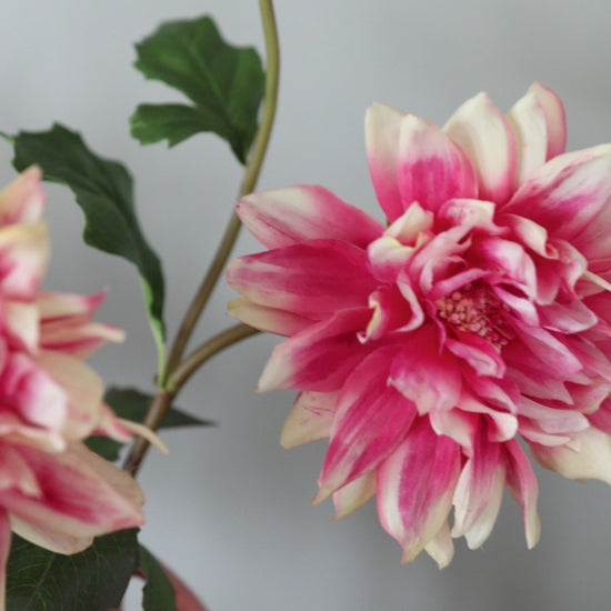 Coral Artificial Dahlias Showcased in a Short Video