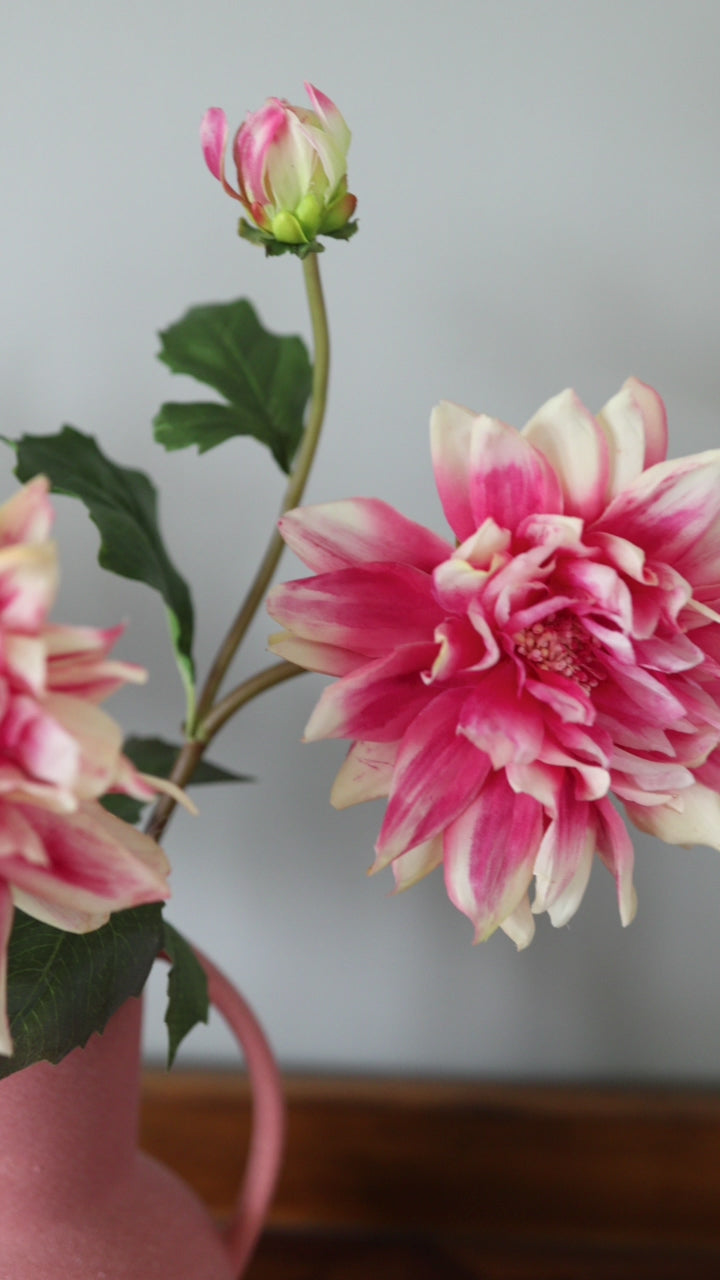 Coral Artificial Dahlias Showcased in a Short Video