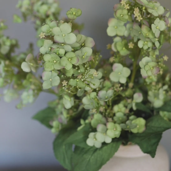 Artificial Green Hydrangea Flowers Video