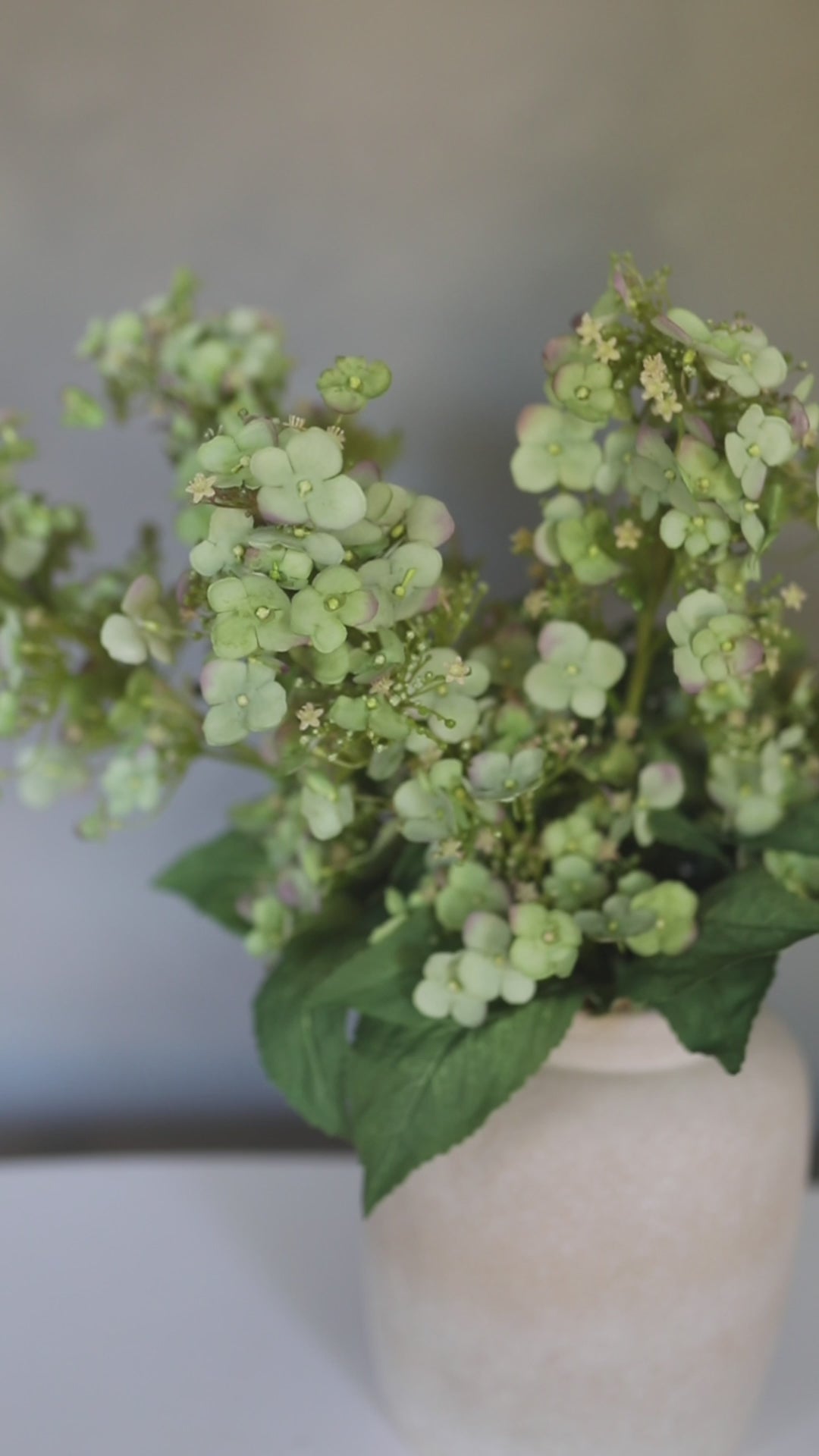 Artificial Green Hydrangea Flowers Video