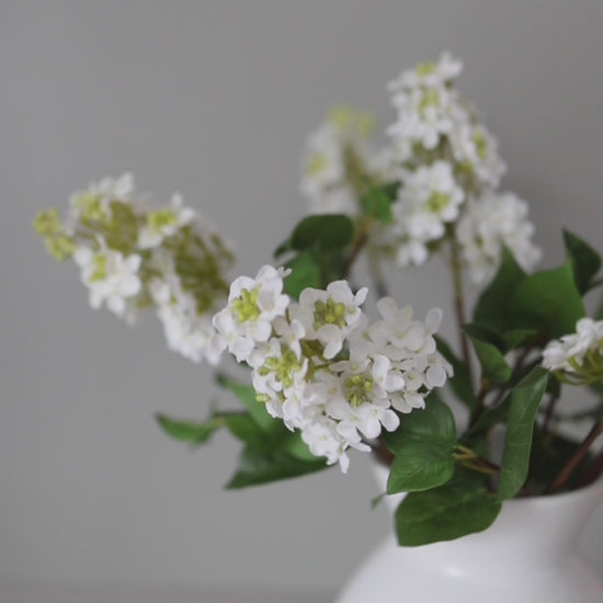 Fake White Lilacs in White Vase Video