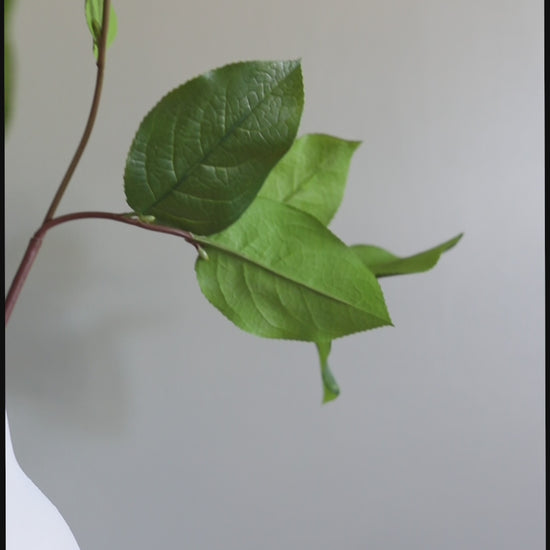 Fake Foliage Green Salal Leaves Details