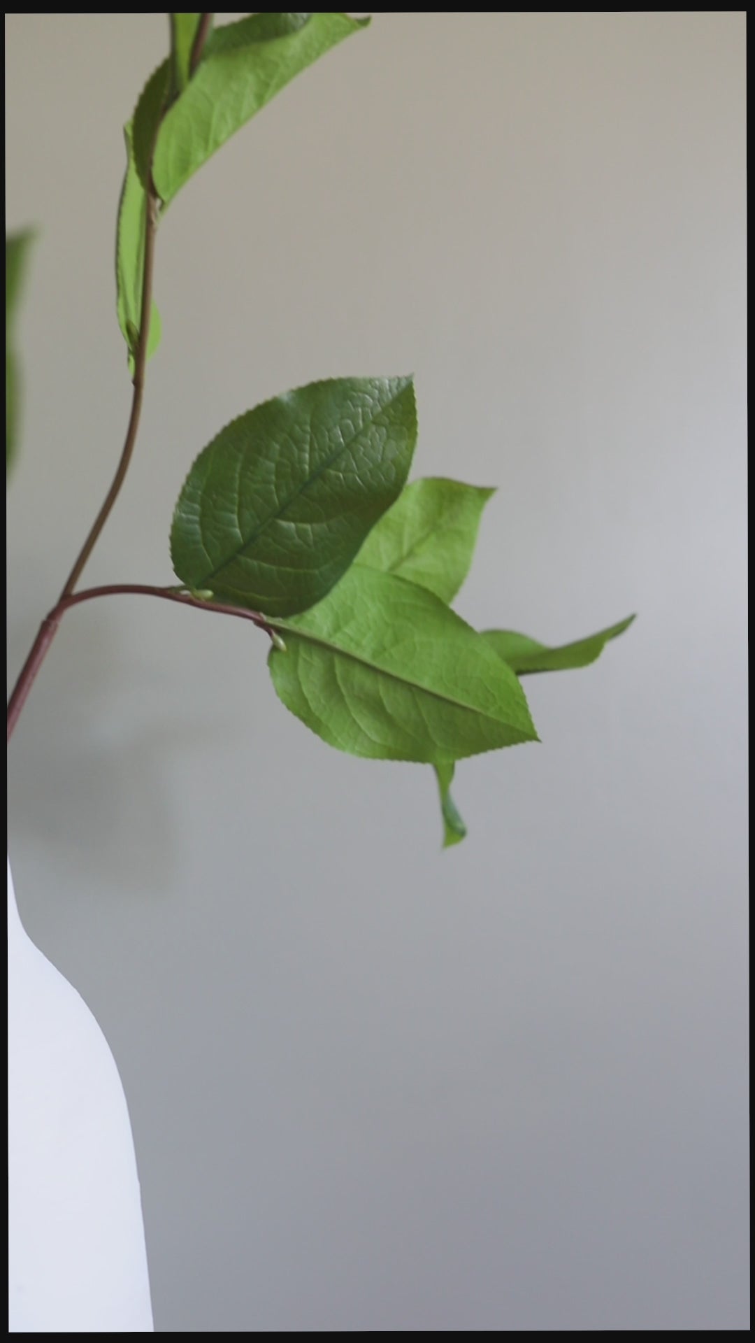 Fake Foliage Green Salal Leaves Details