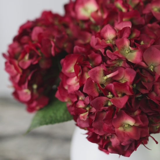 Video Showcasing Artificial Red Hydrangea Blooms