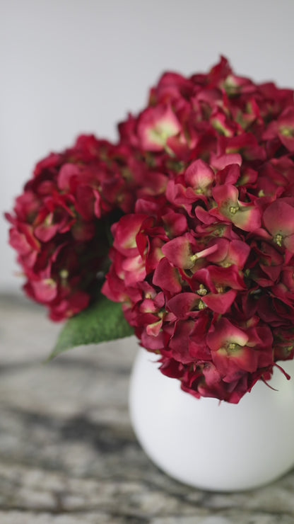 Video Showcasing Artificial Red Hydrangea Blooms