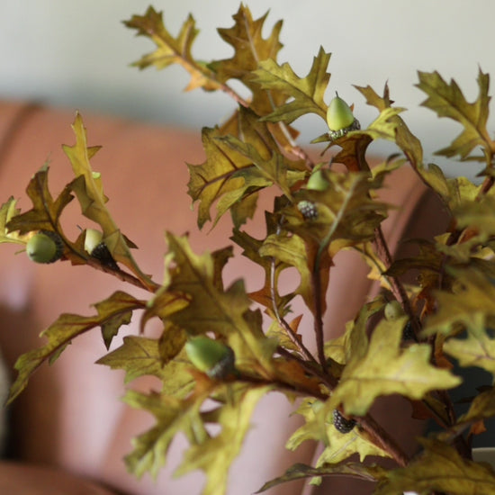 Video of Fake Fall Oak Leaves with Acorns