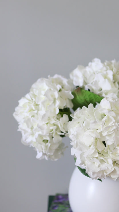 Video of White Faux Hydrangea Blossoms in Vase