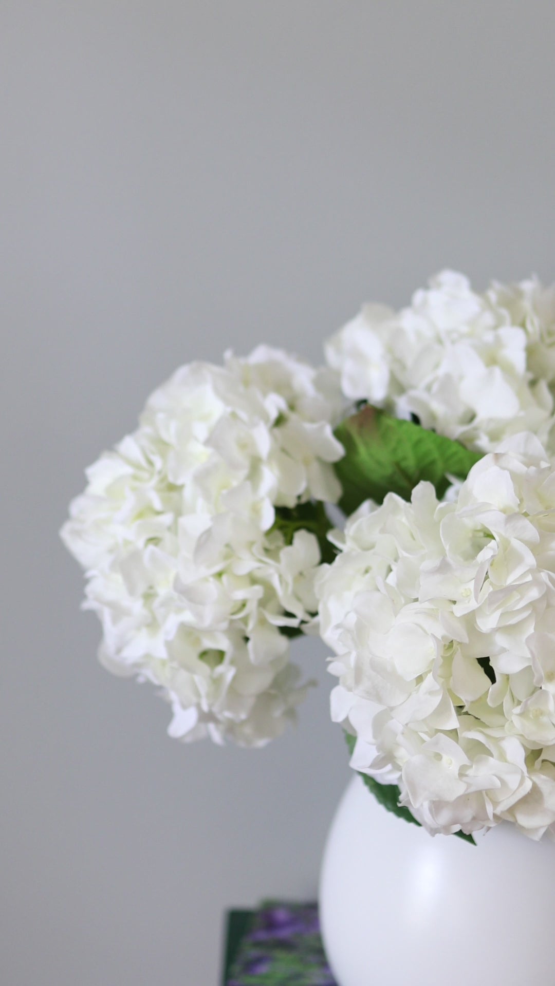 Video of White Faux Hydrangea Blossoms in Vase