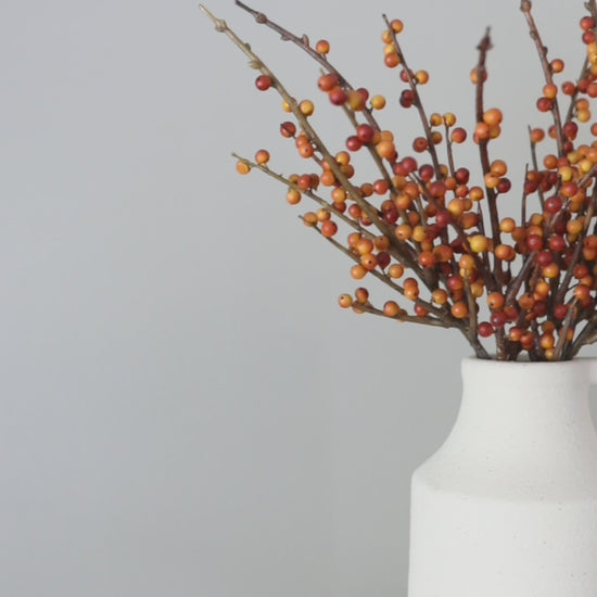 Video Showing Details of Orange Artificial Fall Berries