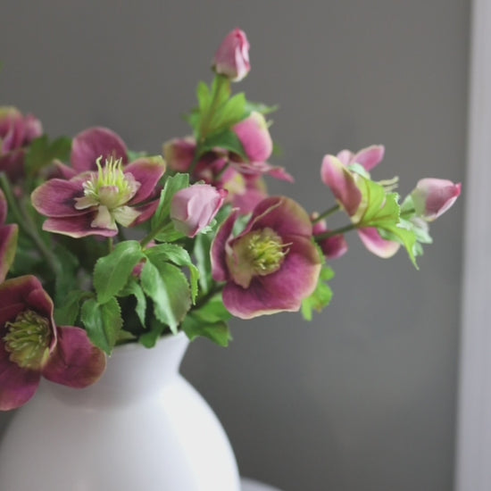 Short Clip Showcasing Artificial Pink Hellebore Wildflowers in Home Setting