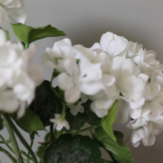 White Artificial Geranium Bush Video