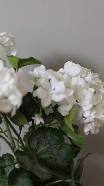 White Artificial Geranium Bush Video