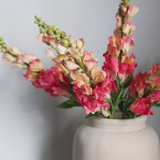 Real Touch Coral Snapdragons Video