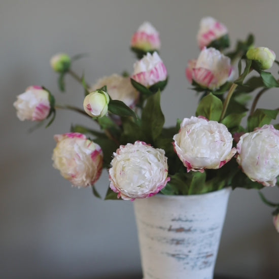 White Artificial Peonies Short Flower Video