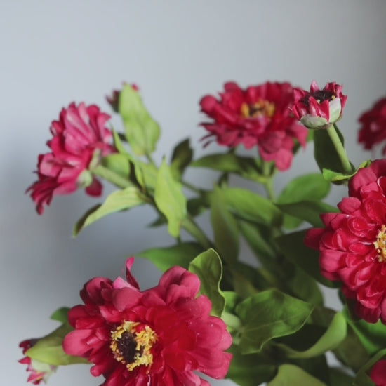 Red Zinnias in Vase Real Touch Flowers