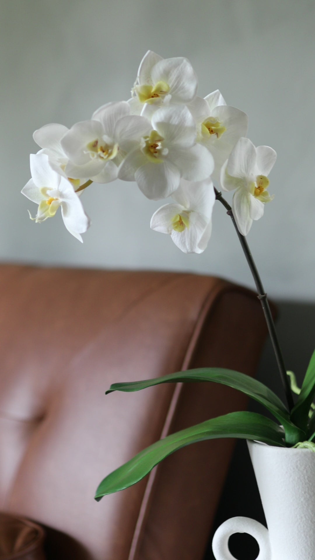 Clip of Artificial White Orchid Styled with Faux Orchid Leaves