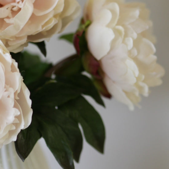 Real Touch Peony Flowers in Blush Pink