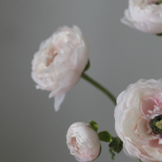 Artificial Flowers Blush Pink Ranunculus Video