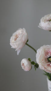 Artificial Flowers Blush Pink Ranunculus Video