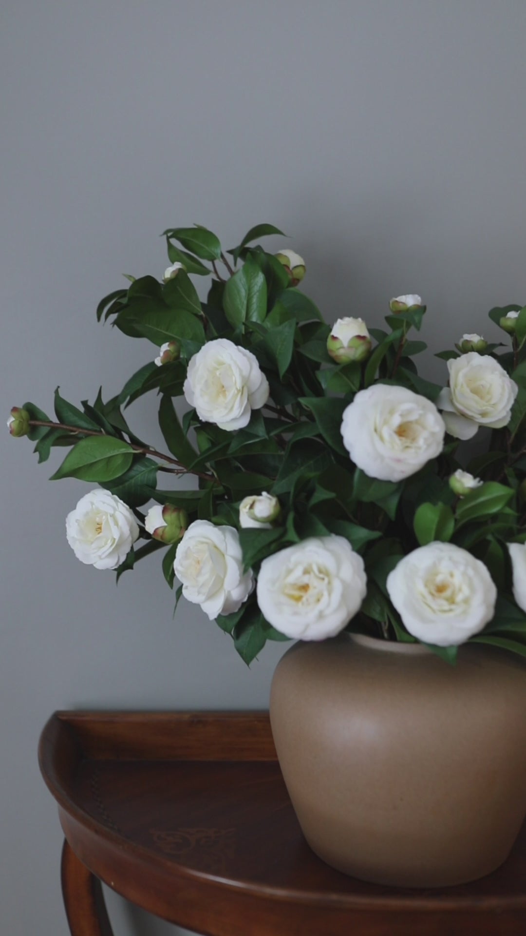 White Flower Bush Faux Camellias Video