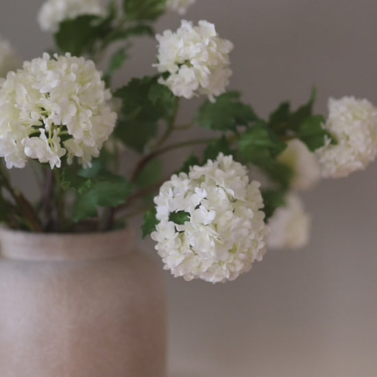 Video Showcasing High Quality Fake Snowball Flowers in Cream Color