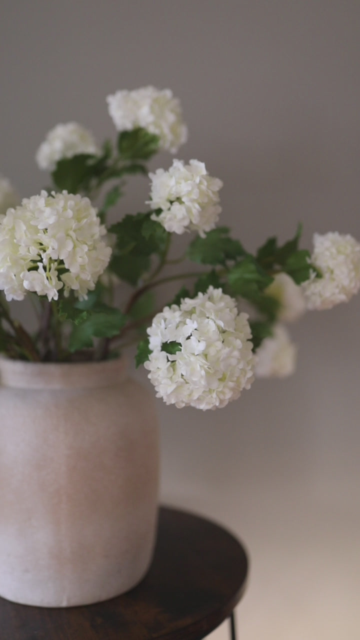 Video Showcasing High Quality Fake Snowball Flowers in Cream Color