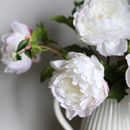 White Artificial Peonies in a Vase Video Clip