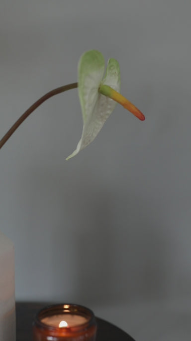 Painters Palette Anthurium | Artificial Anthurium