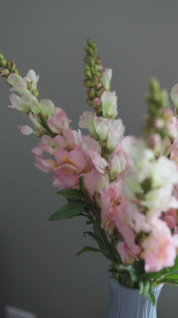 Pink Real Touch Snapdragons Short Video