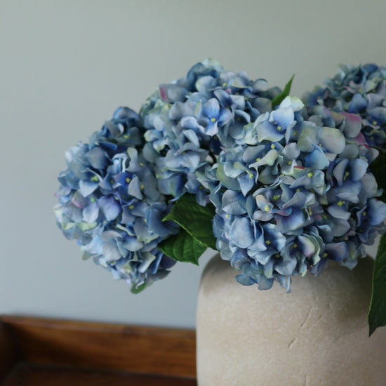 Video SHowcasing Blue Real Touch Hydrangeas in a Home