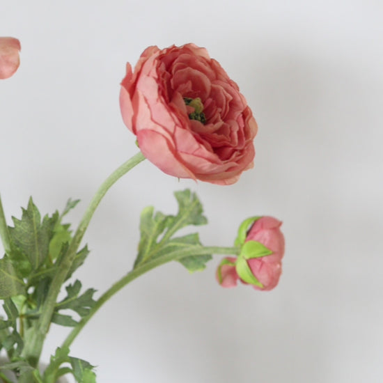 Salmon Pink Artificial Ranunculus Flowers in Vase Video