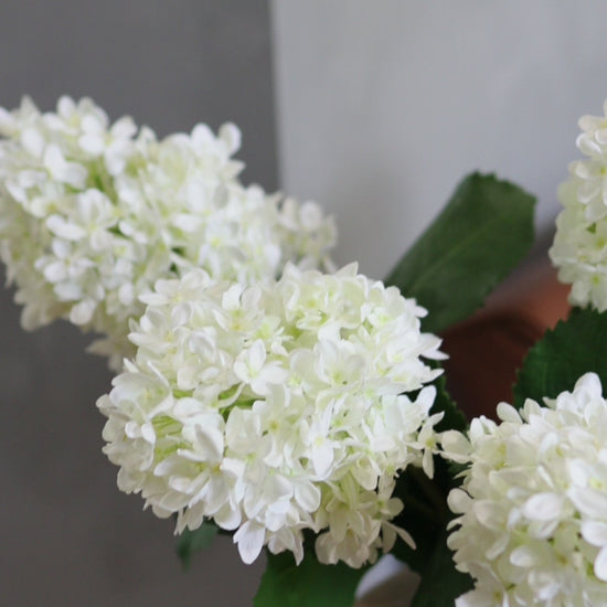 Video Clip of Cream White Artificial Hydrangea Arrangement