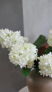 Video Clip of Cream White Artificial Hydrangea Arrangement