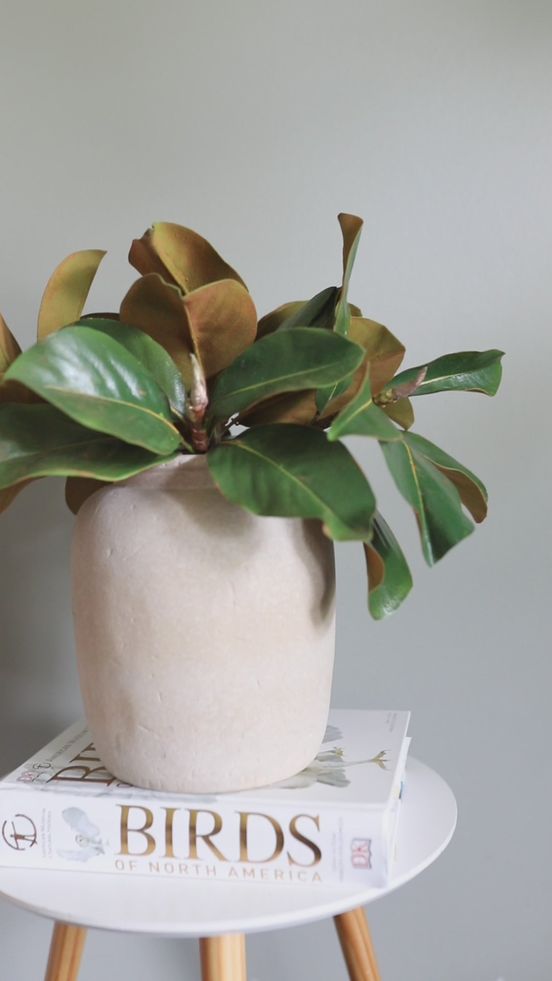 Magnolia Leaves Display Fake Greens