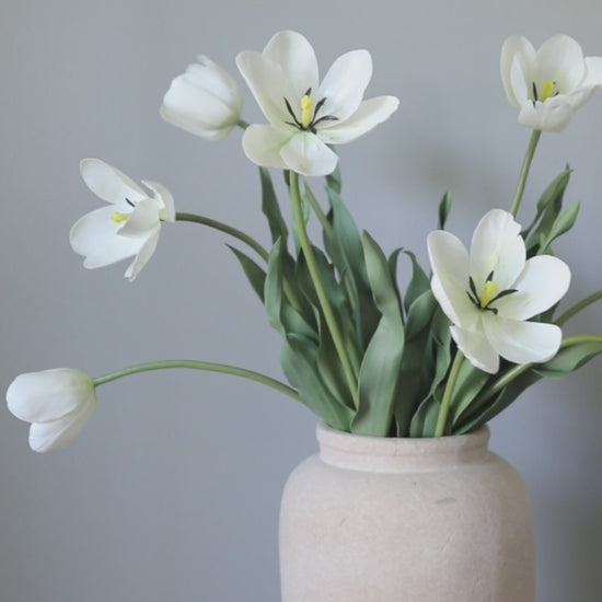 Video Showing Details of Faux Tulip in Cream White