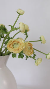 Video Showcasing Yellow Mini Real Touch Ranunculus Blossoms