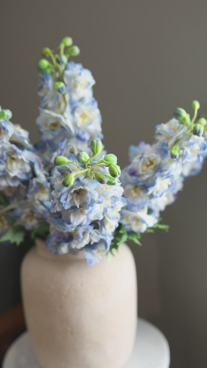 Blue Delphinium Stems Short Video Clip