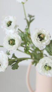 Video of White Silk Ranunculus Flowers