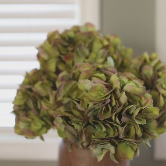 Video Showing Green Fake Hydrangeas in a Vase