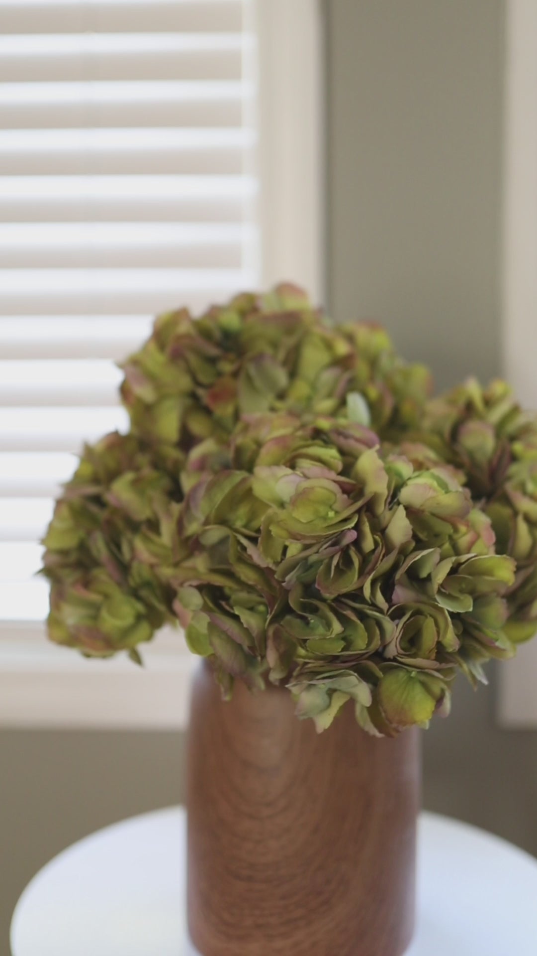 Video Showing Green Fake Hydrangeas in a Vase