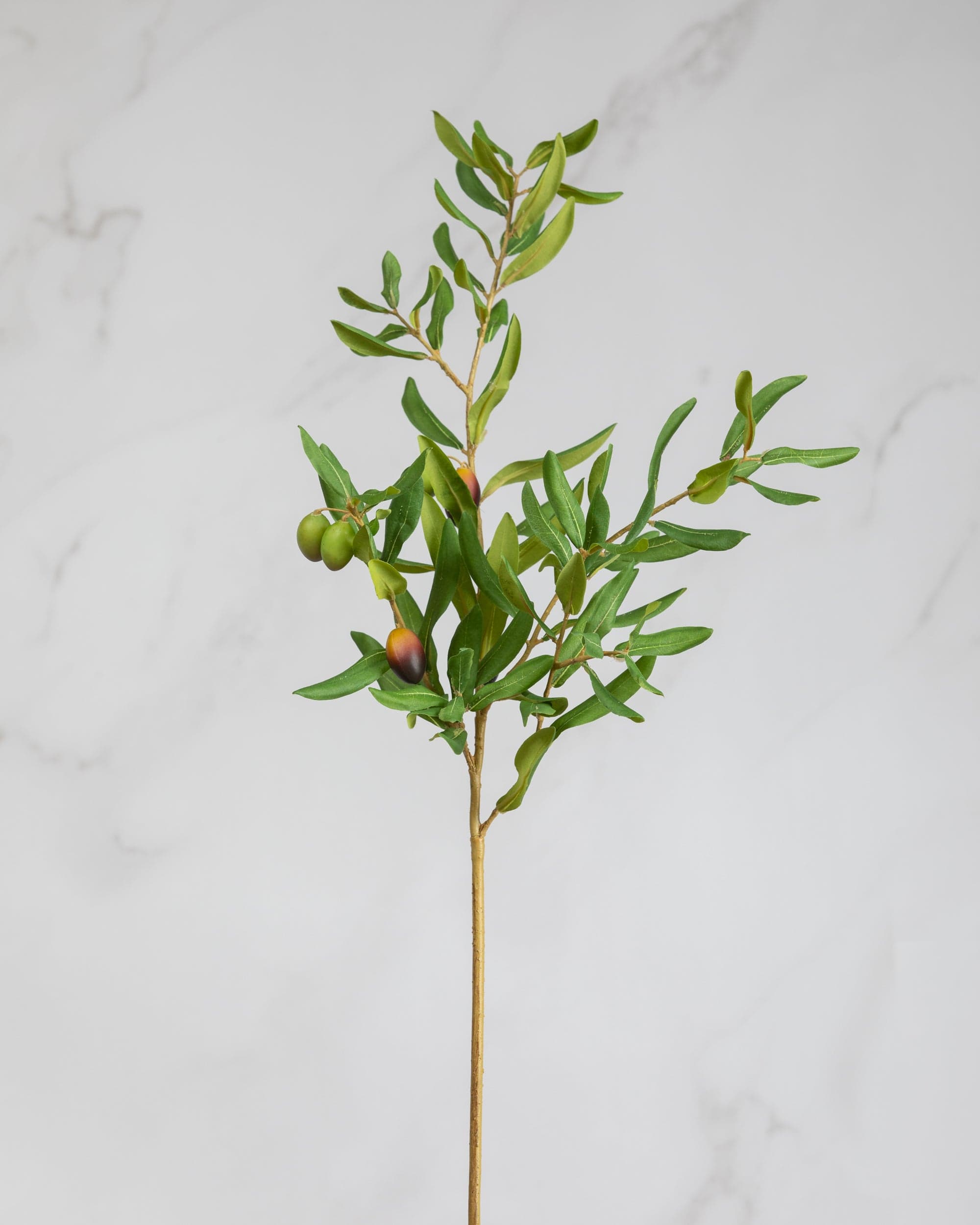 Prestige Botanicals Artificial Olive Branch stem