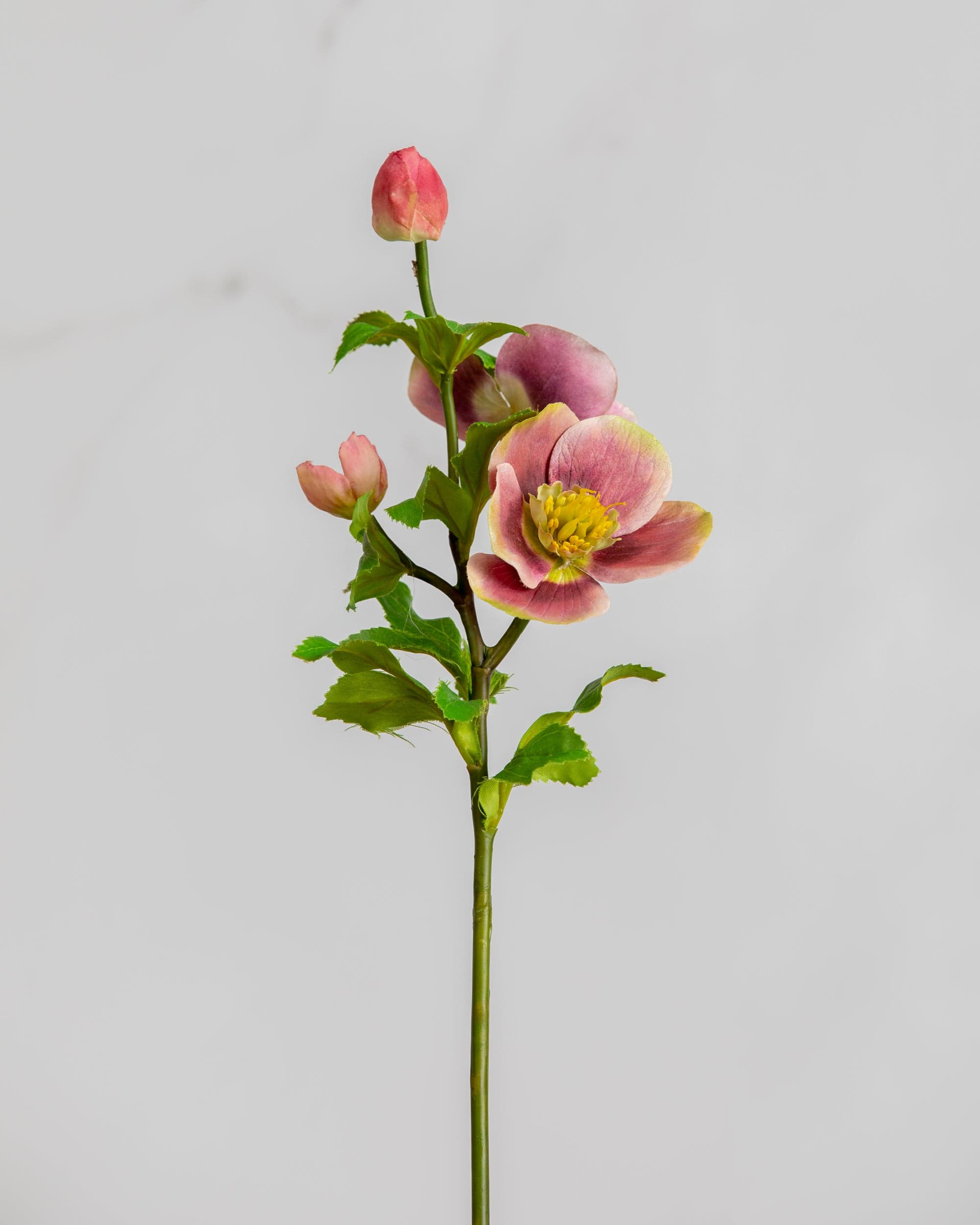 Prestige Botanicals Artificial Mauve Anemone Flower stem