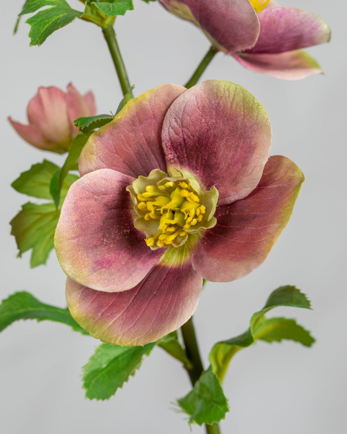 Prestige Botanicals Artificial Mauve Anemone Flower close up