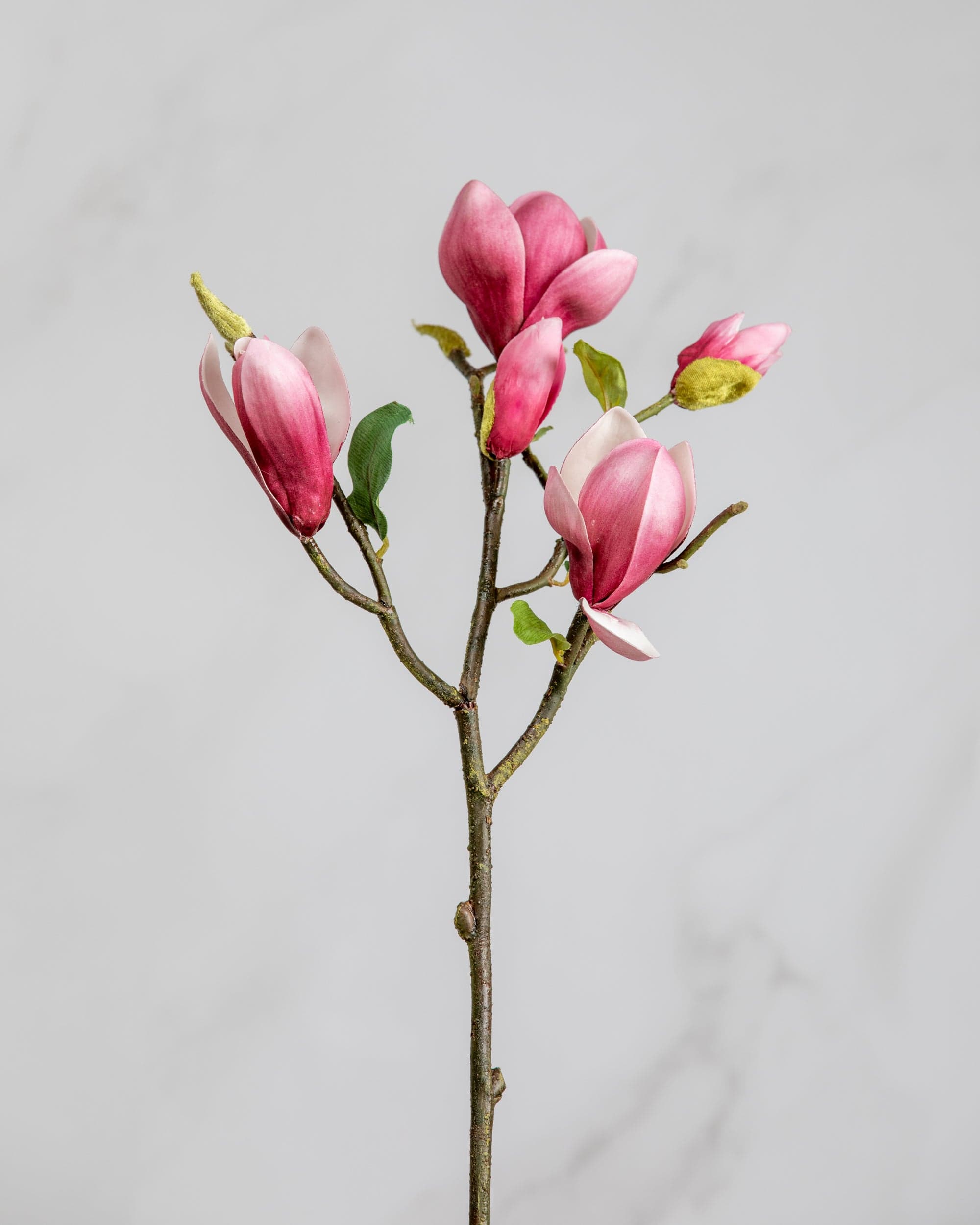 Prestige Botanicals Artificial Fuschia Magnolia Tulip Stem